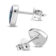 Abalone Reuleaux Triangle Silver Earrings, e390st